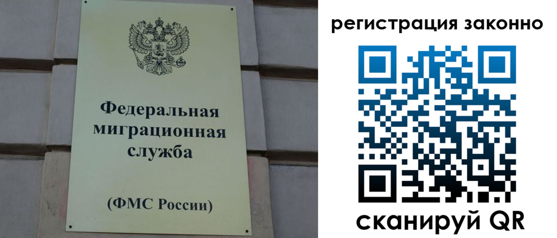 прописка гарантия в Луге